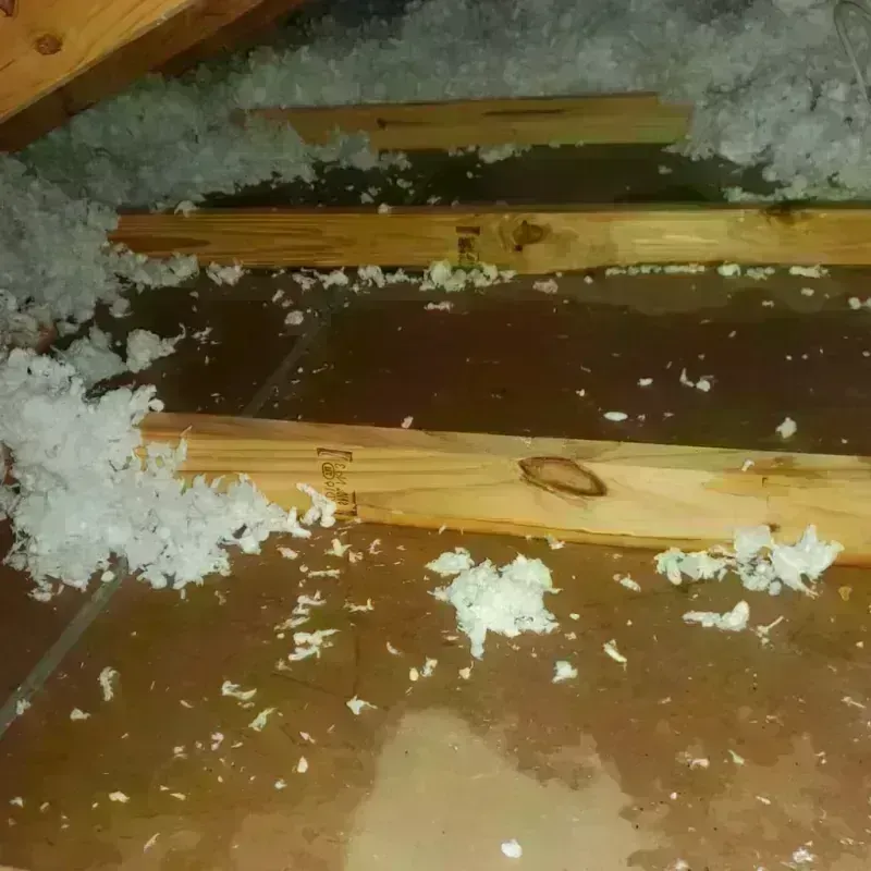 Attic Water Damage in Oakley, CA