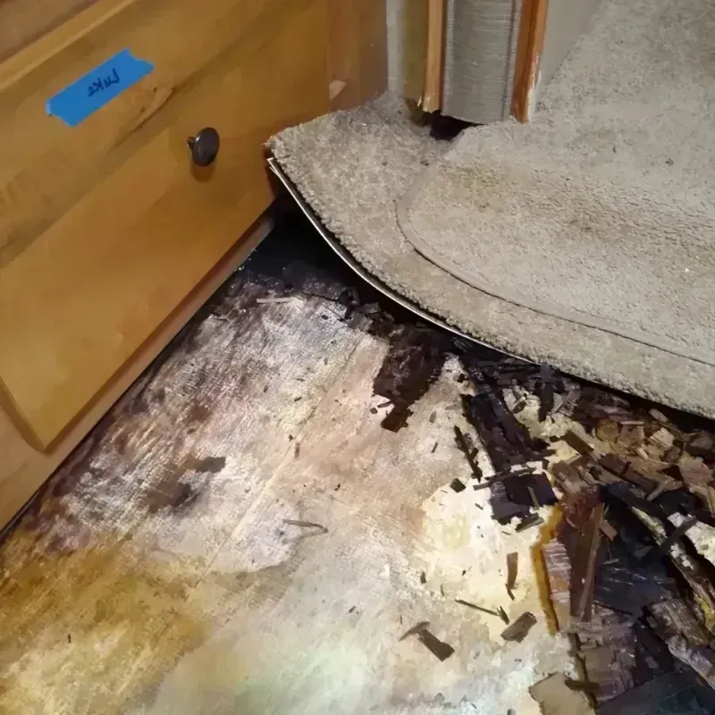 Wood Floor Water Damage in Oakley, CA